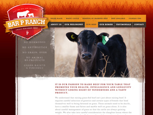 Bar P Ranch Beef