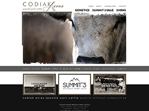 Codiak Acres Speckle Park Cattle