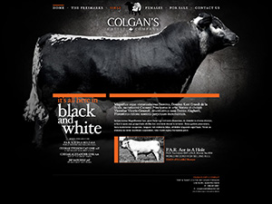 Colgans Cattle Company